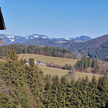 Natur- & Erlebnis Ferienhaus Voitsberg Bagian luar foto
