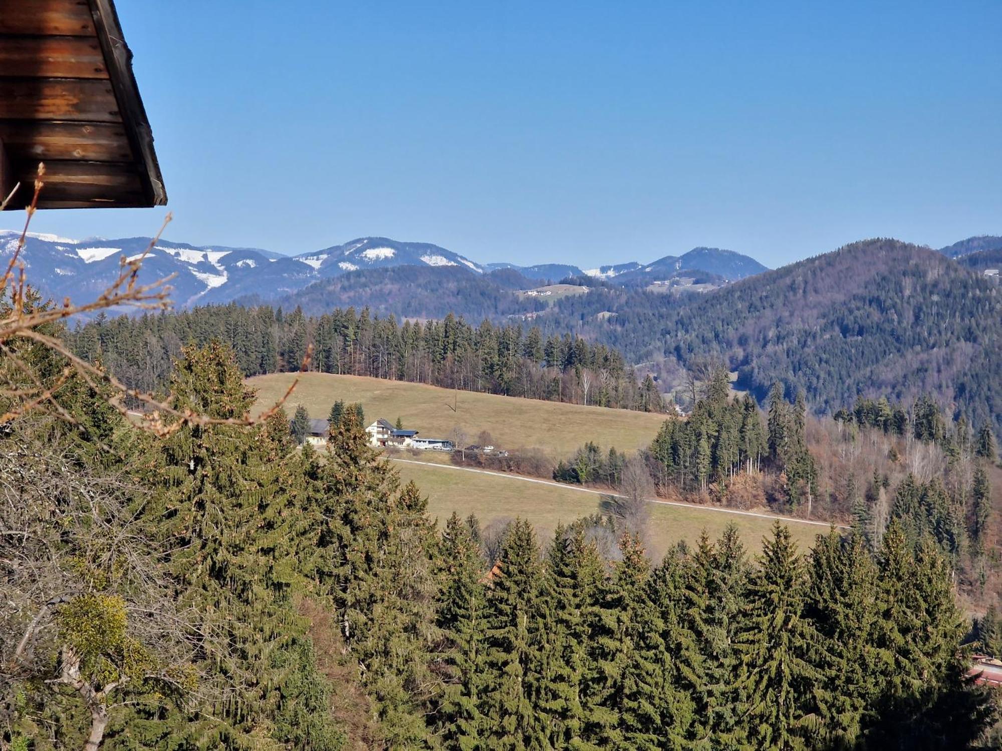 Natur- & Erlebnis Ferienhaus Voitsberg Bagian luar foto