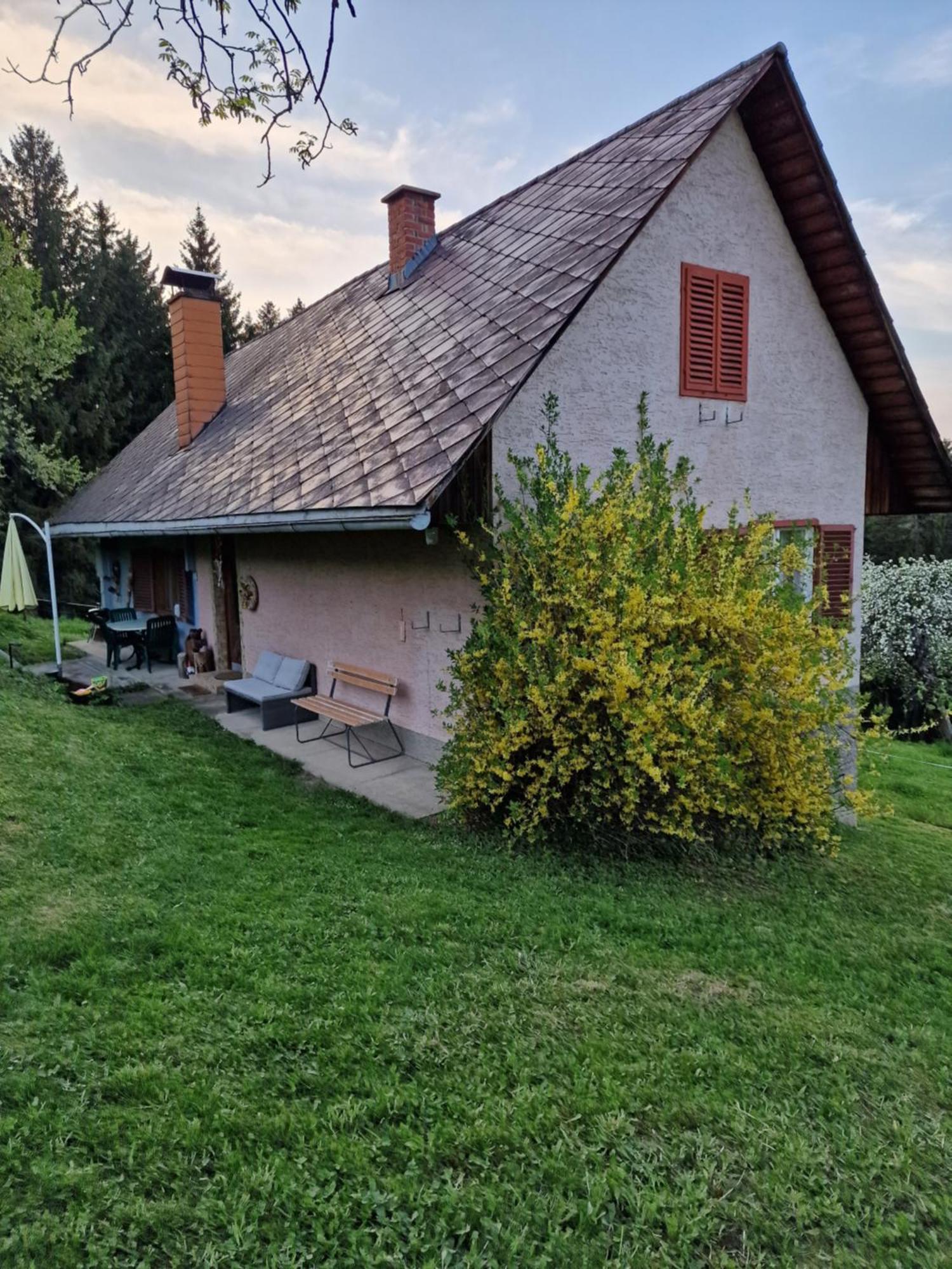 Natur- & Erlebnis Ferienhaus Voitsberg Bagian luar foto