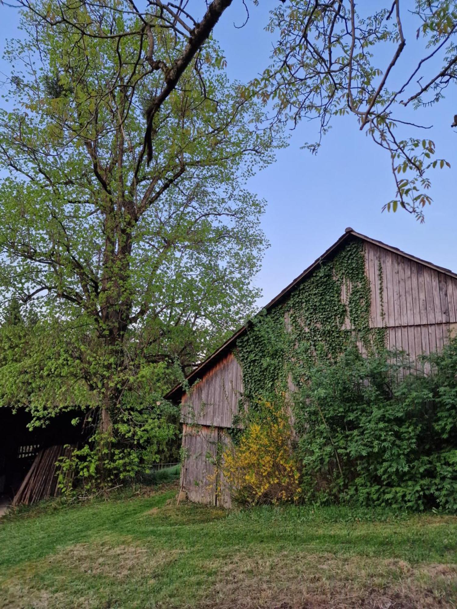 Natur- & Erlebnis Ferienhaus Voitsberg Bagian luar foto